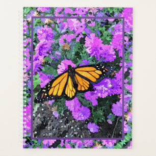 LG Planer Monarch/Asters