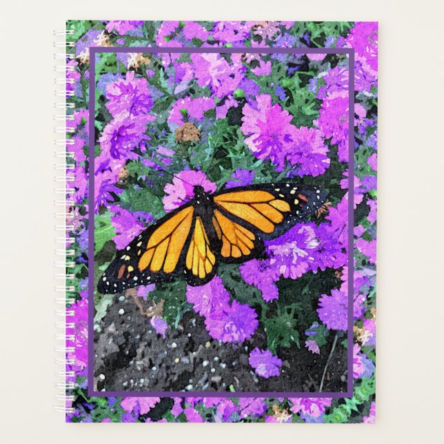 LG Planer Monarch/Asters (Vorderseite)