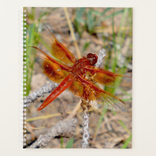 Lg Planner Orange Dragonfly Planer