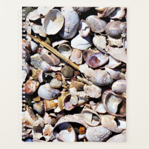 LG Planner Seashells Planer