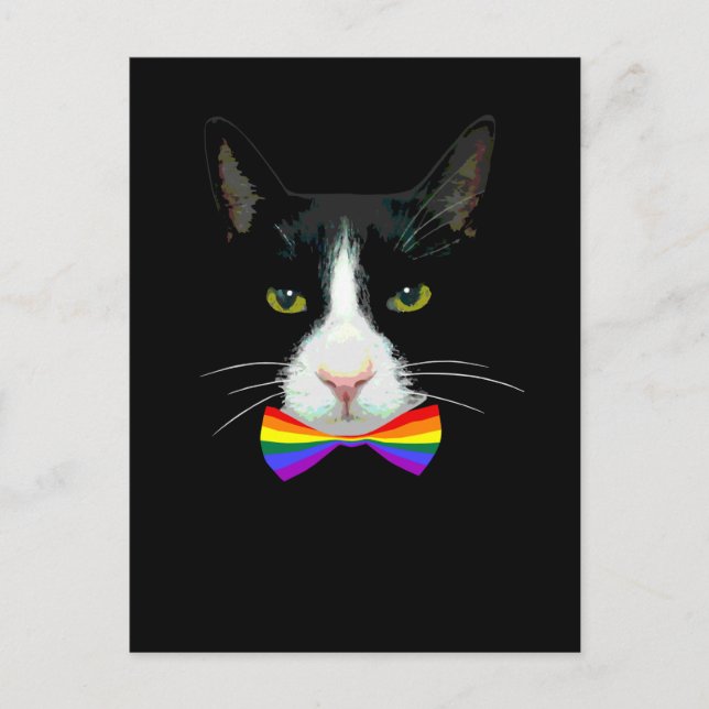 LGBT Gay Cat mit Rainbow Bow Krawatte Postkarte (Vorderseite)
