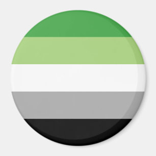 LGBTQ-Flag für Aromatiker Magnet