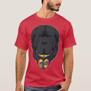 LGBTQ Flag I Gay Pride Flag I Newfoundland T-Shirt