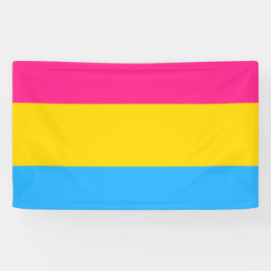 LGBTQ-Flag Pansexual Prilag Banner