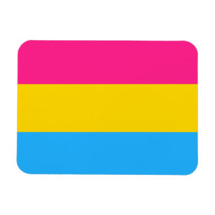 LGBTQ-Flag Pansexual Prilag Magnet