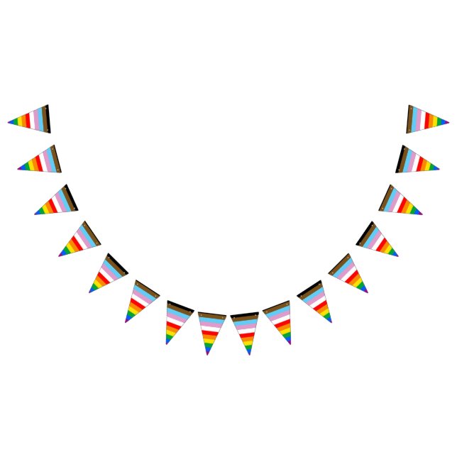 LGBTQ+ INKLUSIVE PRIDE FLAG WIMPELKETTE (Alle)