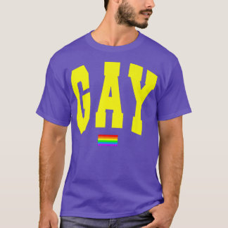 LGBTQ Pride Graphic Rainbow Flag Human Rights Wome T-Shirt