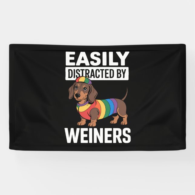 LGBTQ Rainbow Gay Banner (Horizontal)