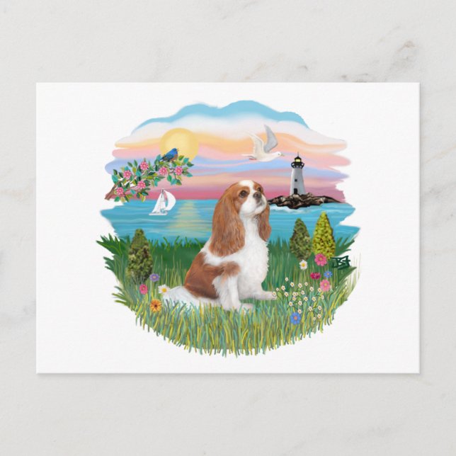 Lghthouse - Cavalier (BL-F) Postkarte (Vorderseite)