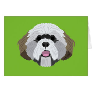 Lhasa Apso