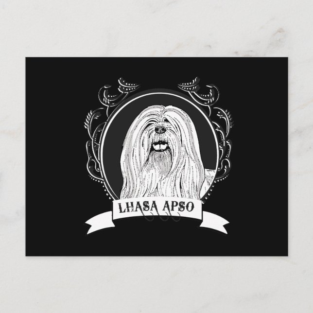 LHASA APSO (2) POSTKARTE (Vorderseite)