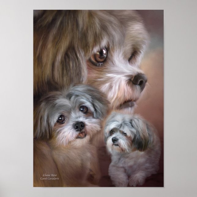 Lhasa Apso Art Poster/Print Poster (Vorne)