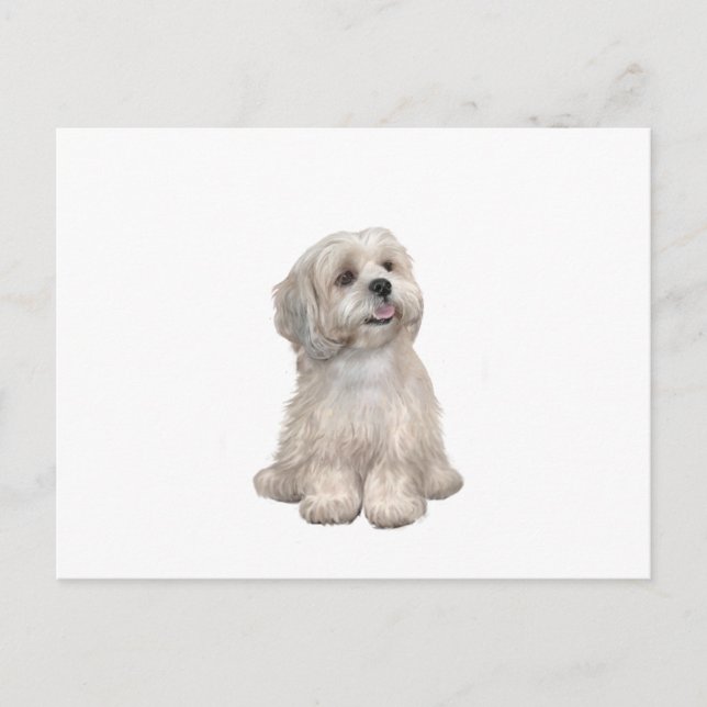 Lhasa Apso (C) - Leichtgold Postkarte (Vorderseite)