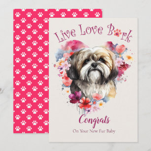 Lhasa Apso Dog Adoption, Gotcha Tag Karte