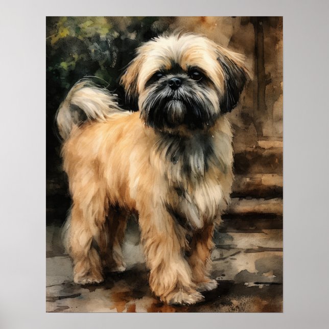 Lhasa Apso Dog Art Print Poster (Vorne)