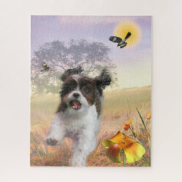 Lhasa Apso Dog High Schwanz Zuhause