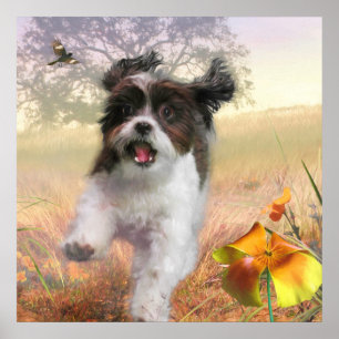 Lhasa Apso Dog HIGH SCHWANZ ZUHAUSE Poster