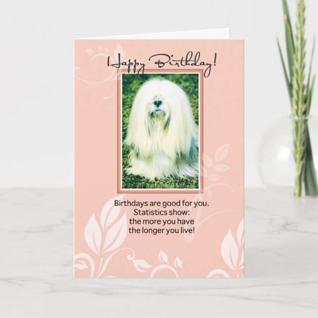 Lhasa Apso Dog Humore Geburtstag Karte (Vorderseite)