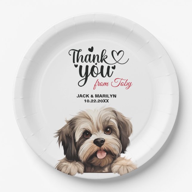 Lhasa Apso Dog Pappteller (Vorderseite)