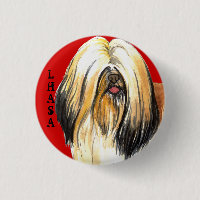 Lhasa Apso Farbblock