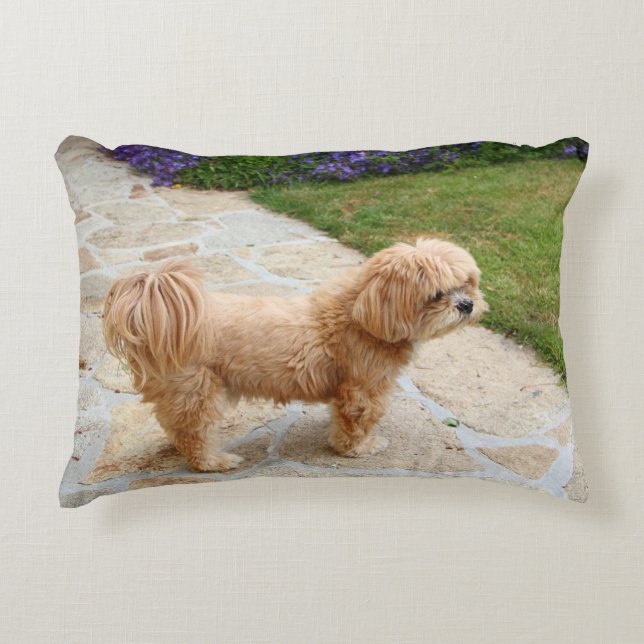 Lhasa Apso Hund im Garten Dekokissen (Vorderseite)