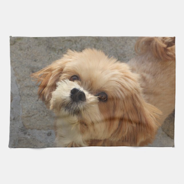 Lhasa Apso Hund im Garten Geschirrtuch (Horizontal)