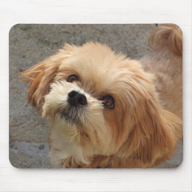Lhasa Apso Hund im Garten Mousepad (Vorne)