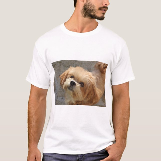 Lhasa Apso Hund im Garten T-Shirt (Vorderseite)