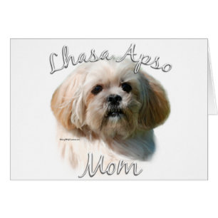 Lhasa Apso Maman 2