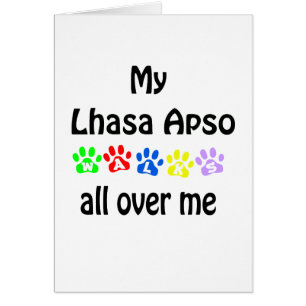 Lhasa Apso Marche Design