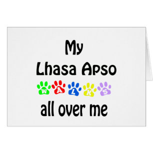 Lhasa Apso Marche Design