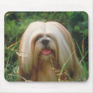 Lhasa Apso Mousepad