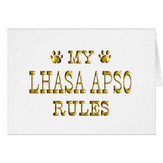 Lhasa Apso ordonne l'or
