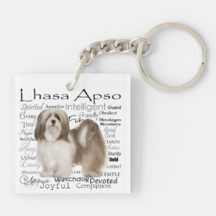 Lhasa Apso Porte - clé