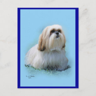 Lhasa Apso Postcard Postkarte