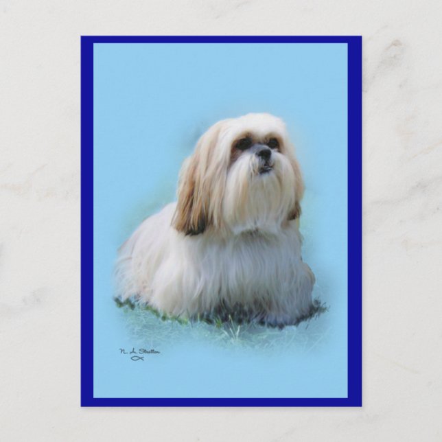 Lhasa Apso Postcard Postkarte (Vorderseite)