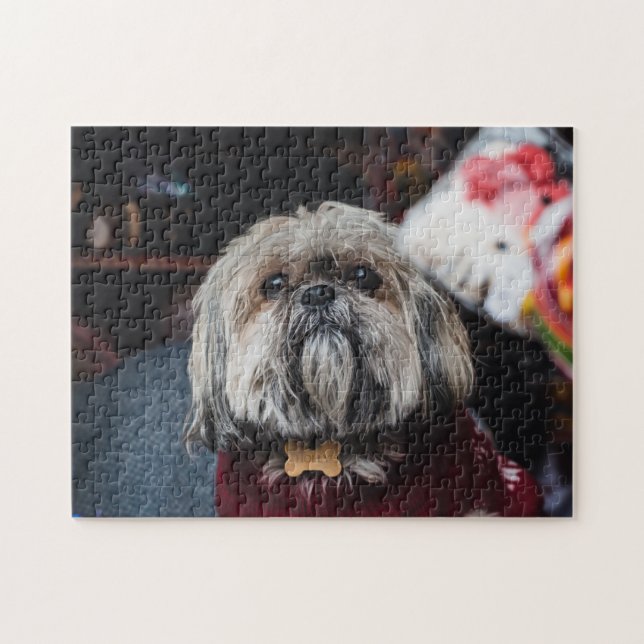 Lhasa apso puppy at Christmas b (Horizontal)