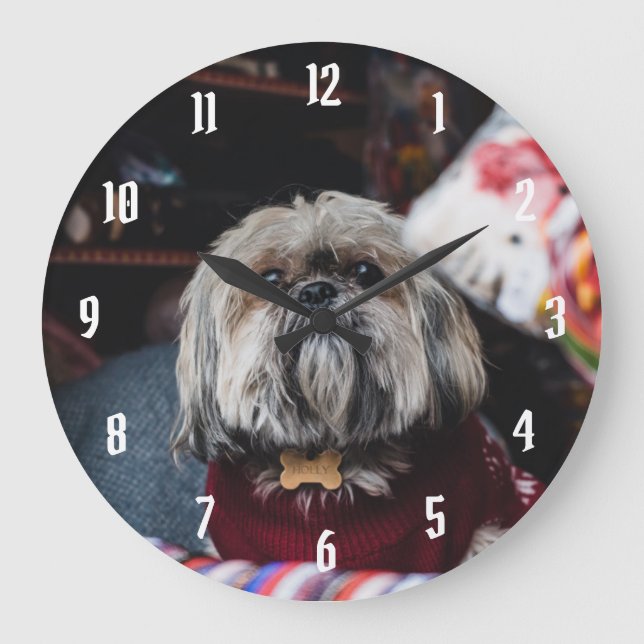Lhasa apso puppy at Christmas b Große Wanduhr (Vorderseite)