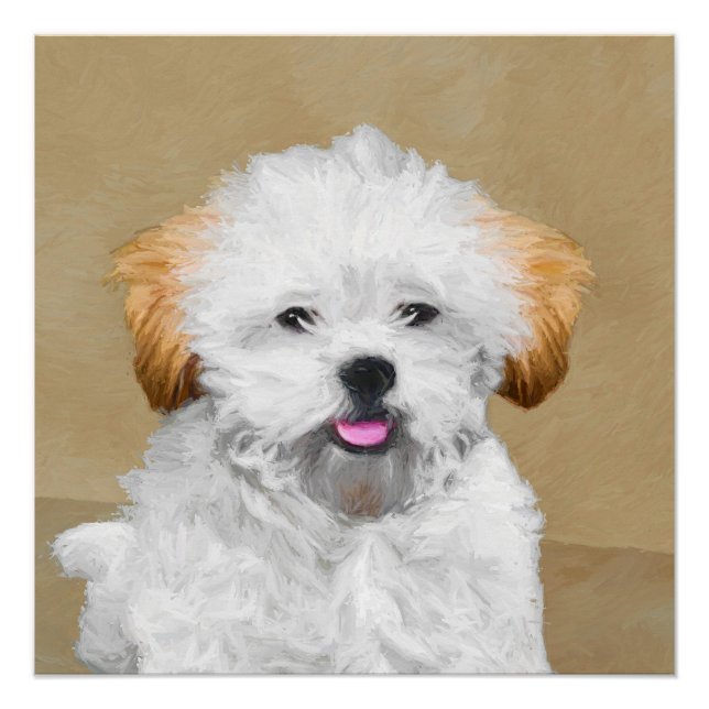 Lhasa Apso Puppy Painting - Niedliche Original Dog Poster (Vorderseite)