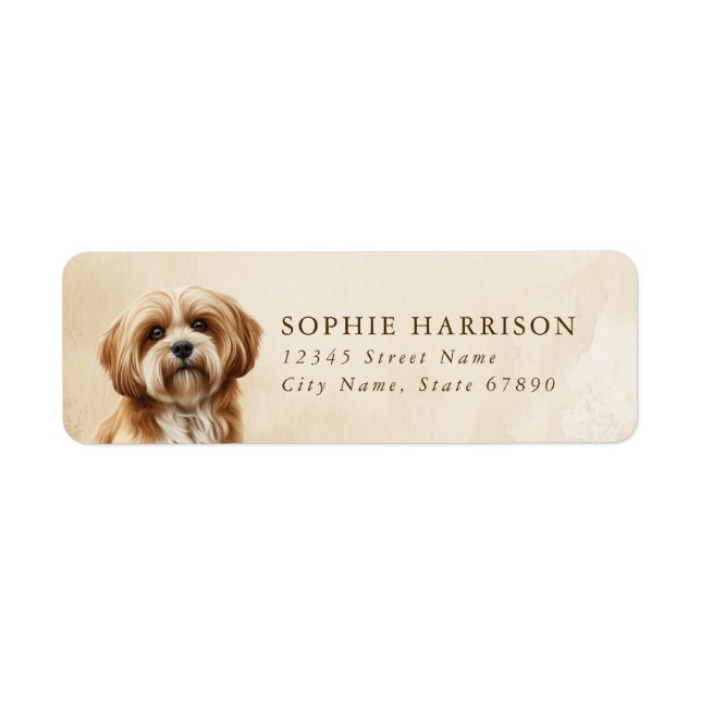 Lhasa Apso Rücksendeadressen-Aufklebers (Vorne)
