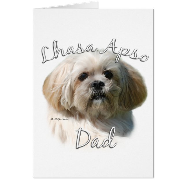 Lhasa Apso Vater 2 (Vorne)
