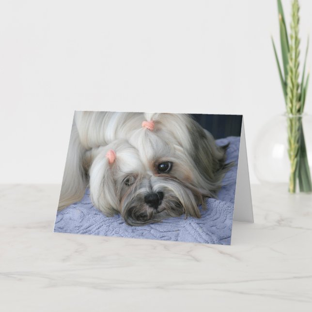 Lhasa Apso Vermisst You Card Karte (Vorderseite)