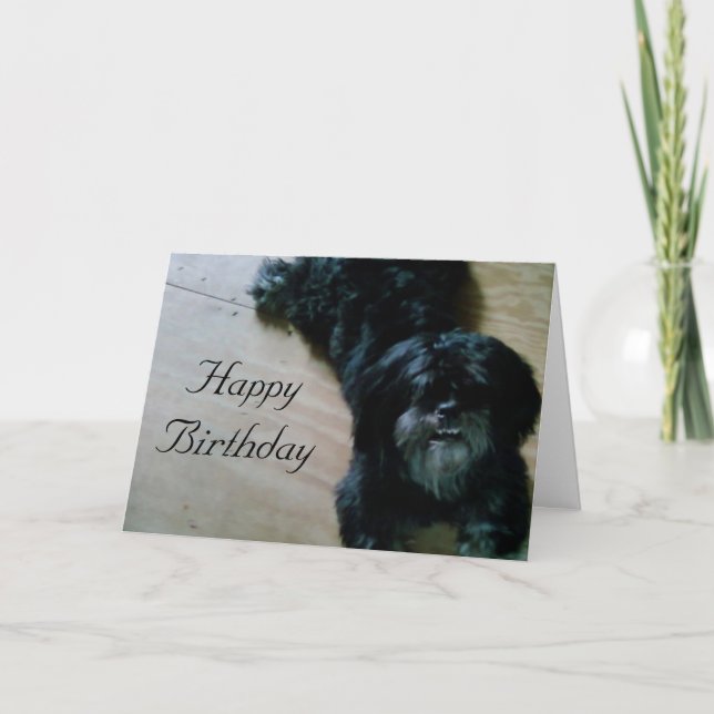 LHASA APSO WÜNSCHT SICH FÜR EINEN GLÜCKLICHEN BIRT KARTE (Vorderseite)