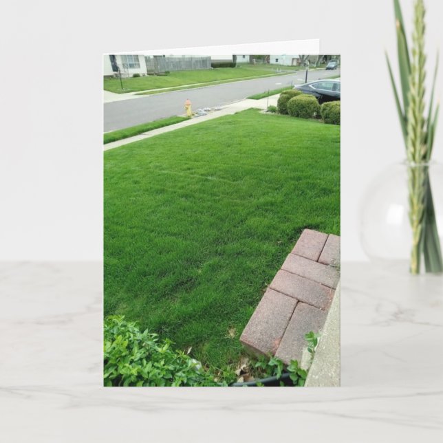 L'herbe est la CARTE verte (Devant)