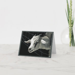 "L'herbe est toujours plus verte" - Carte de chèvr