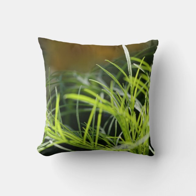 L'herbe est toujours plus verte… Coussin (Recto)
