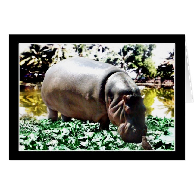 L'Hippo Et L'Oiseau (Devant horizontal)