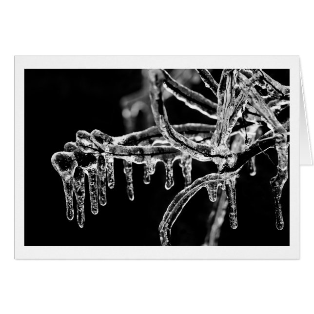 l'hiver (Devant horizontal)