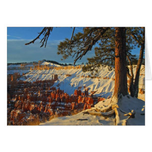 L'Hiver À Bryce Canyon