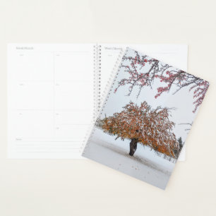 L'hiver en automne